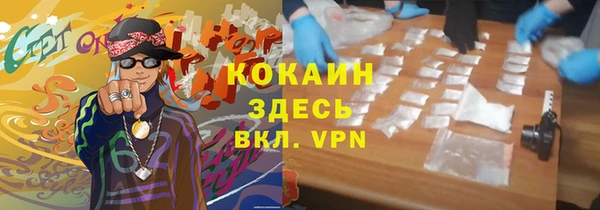 гашик Богданович