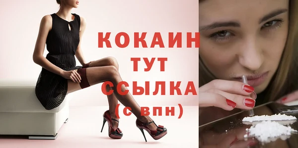 гашик Богданович