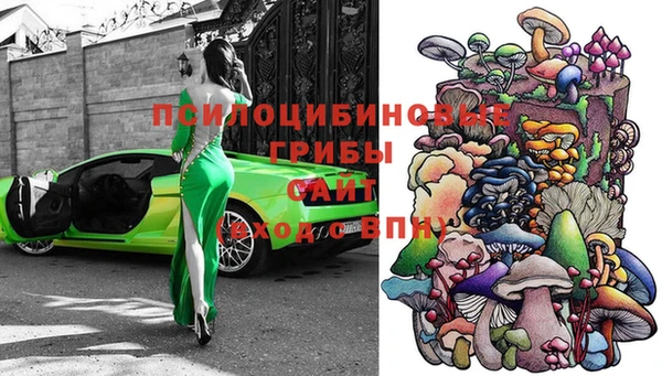 гашик Богданович