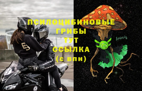 гашик Богданович