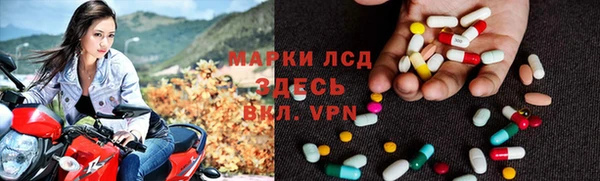 ECSTASY Богородицк
