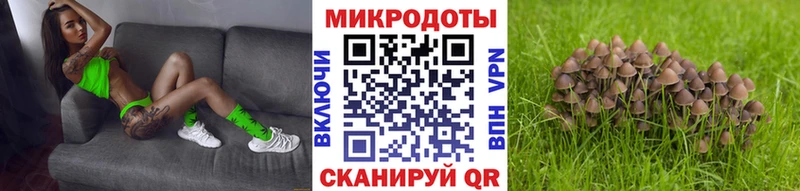 Псилоцибиновые грибы Magic Shrooms  дарк нет телеграм  Елабуга 
